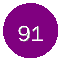 91